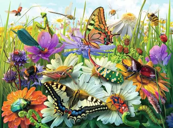 Wonderful World Of Insects 100