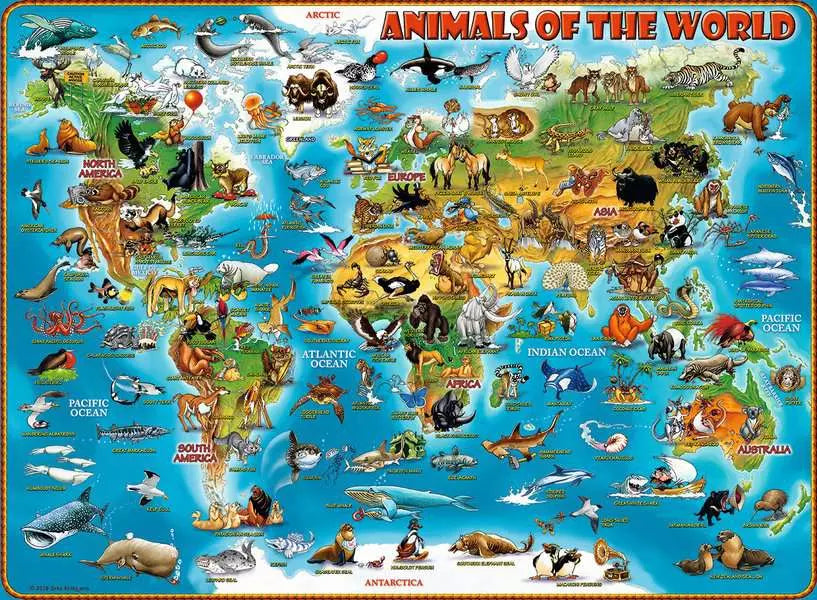 Animals Of The World 300