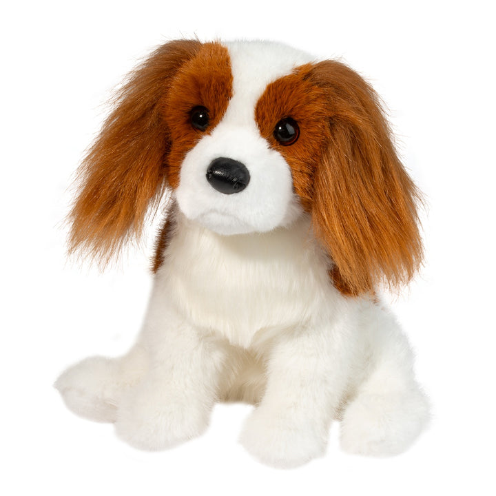 King Charles Cavalier Kingsley