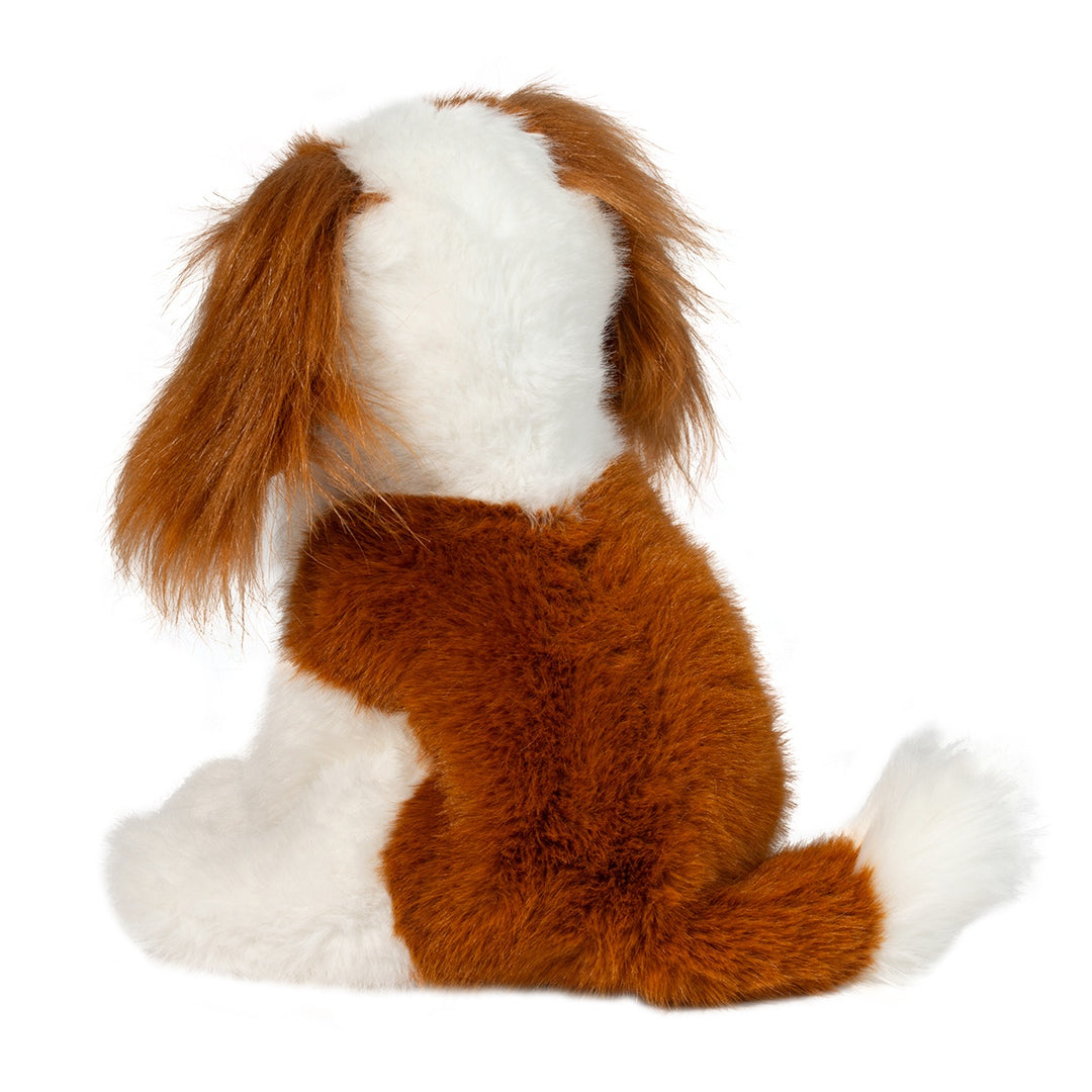 King Charles Cavalier Kingsley