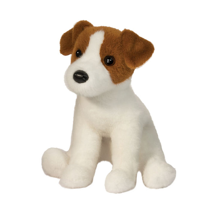 Jack Russell Fiona