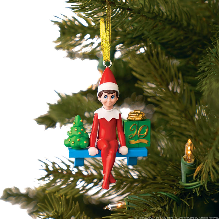 20th Anniversary Elf On A Shelf Boy Light W/Acc
