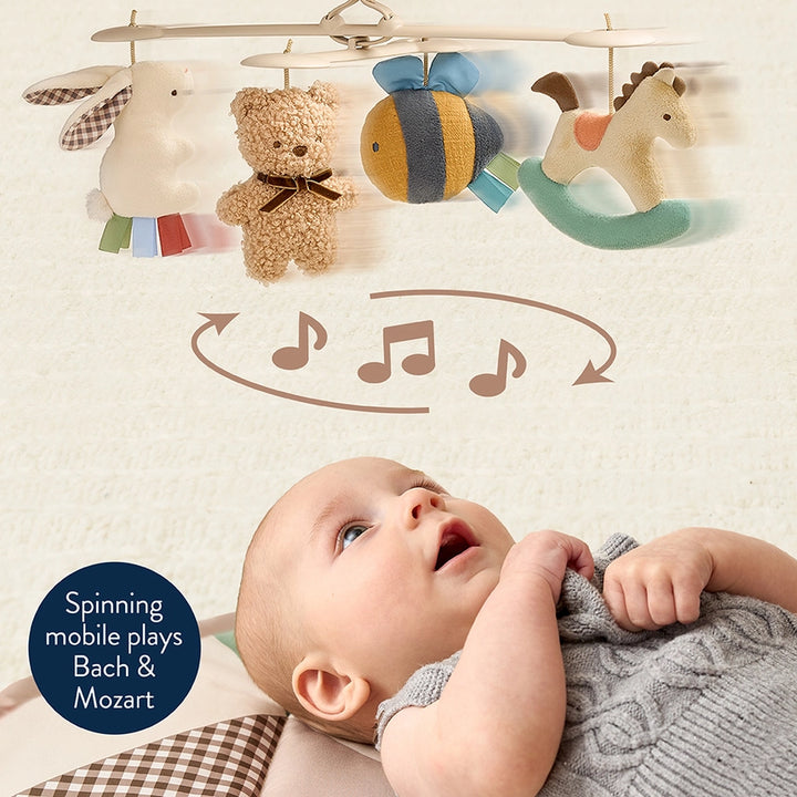 Itsy Music N Motion Activity Gym
