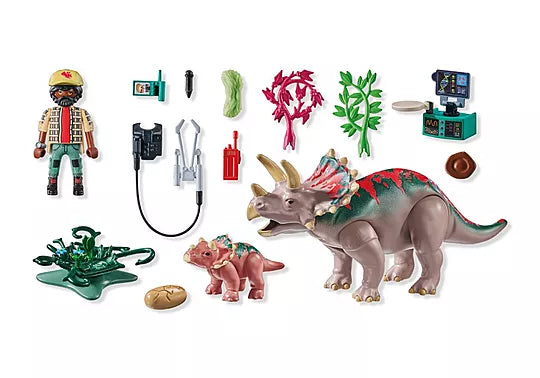 Triceratops Family