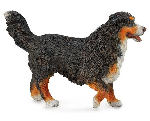 CollectA Dog - Bernese Mountain Dog