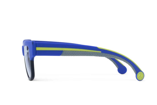 Fire Island Wayfarer Royal Sunglasses