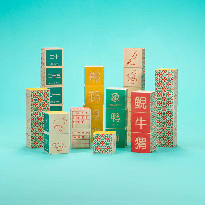 Chinese Character 32 Block Set
