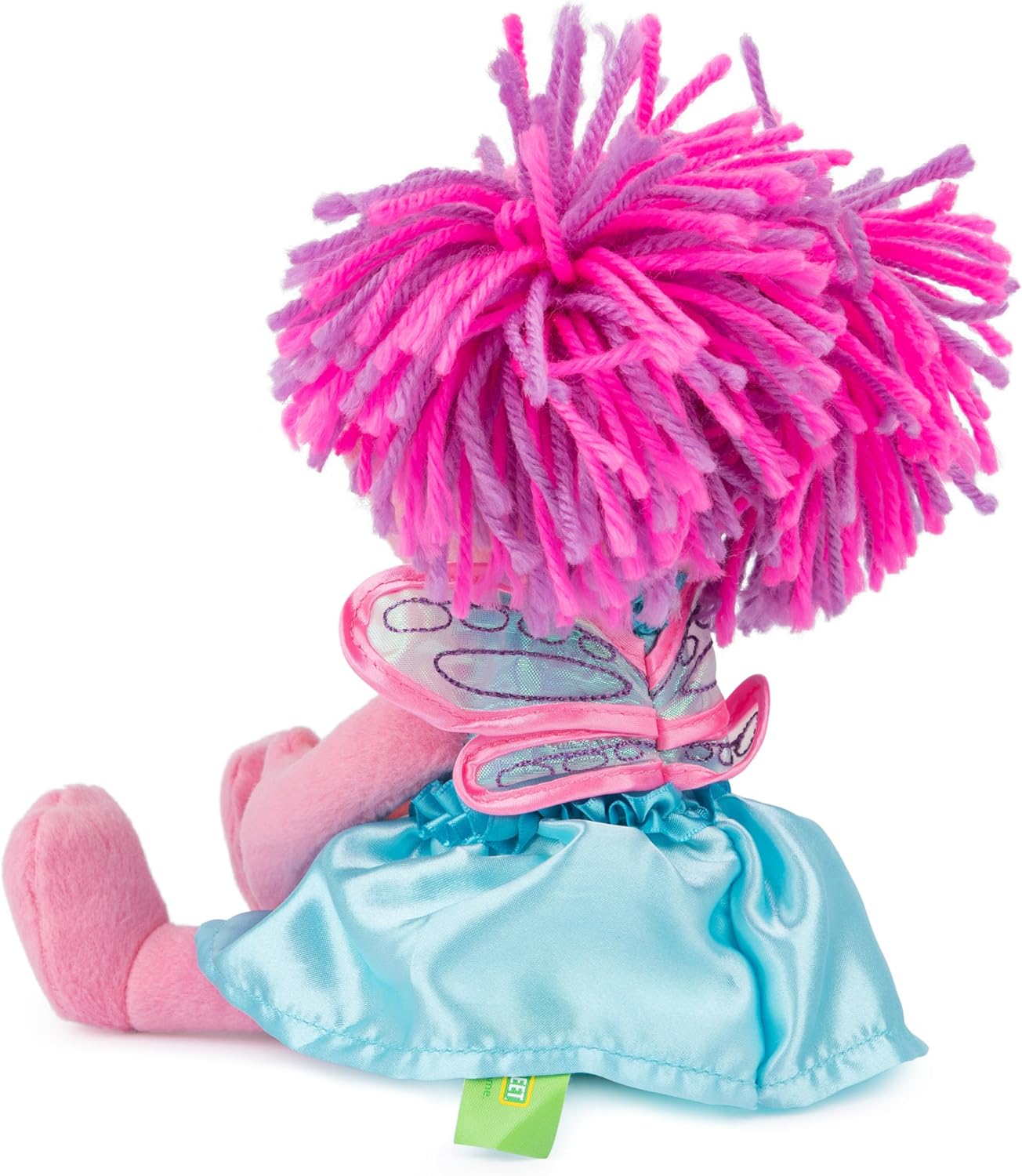 Sesame Street Abby With Flowers 11