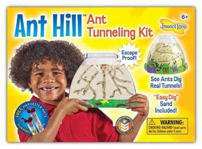 Ant Hill