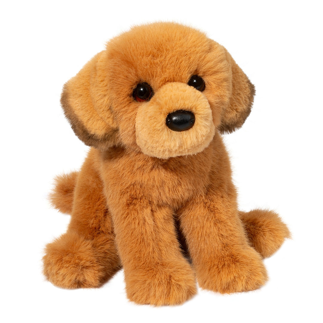 Golden Retriever August