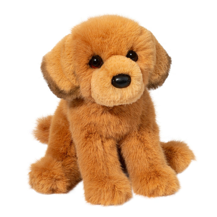 Golden Retriever August