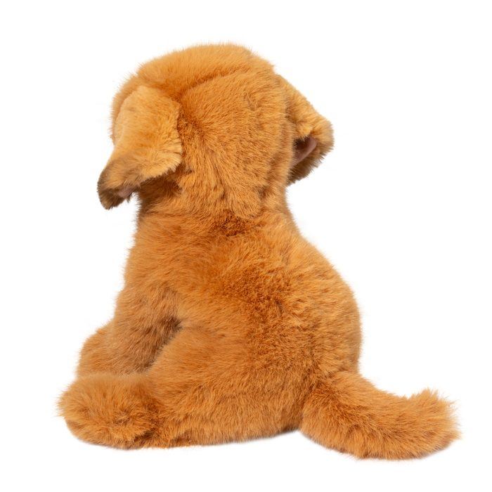 Golden Retriever August