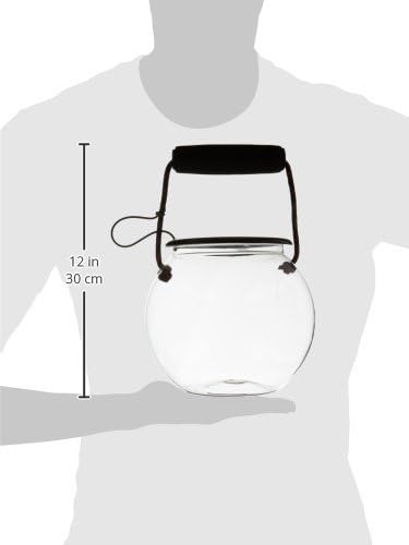 Beach Aquarium