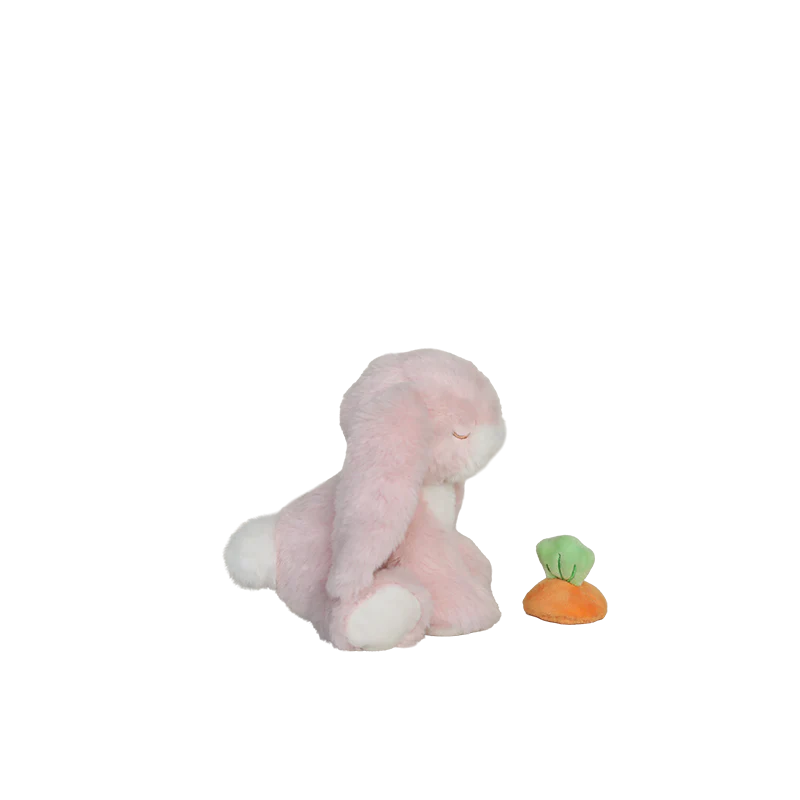 Binky Bunny Dot