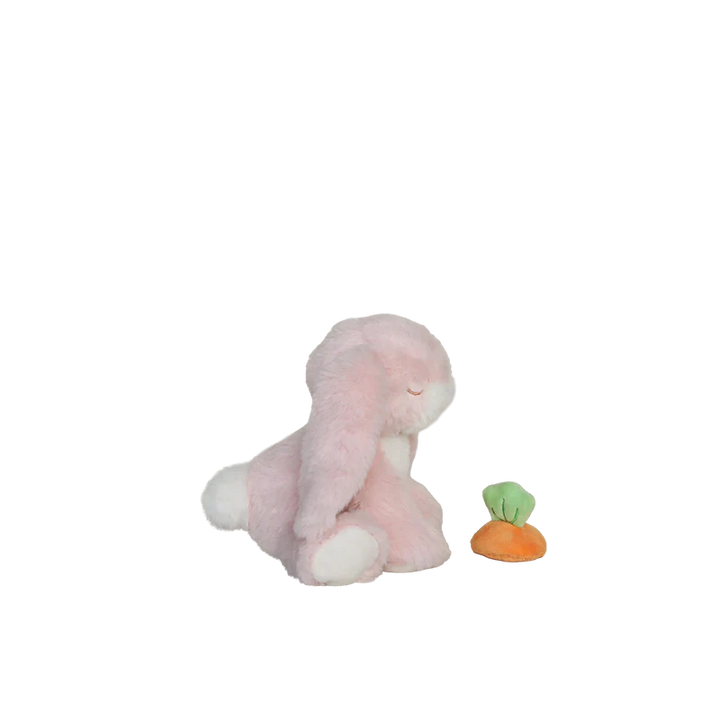 Binky Bunny Dot