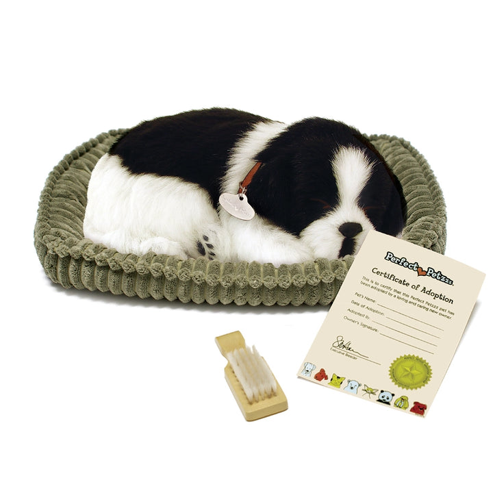 Perfect Petzzz Border Collie