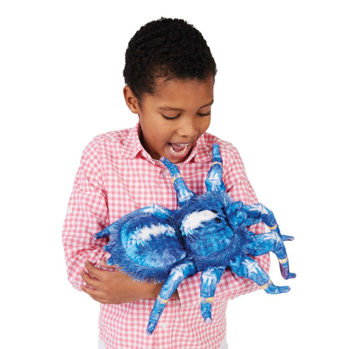 Blue Tarantula