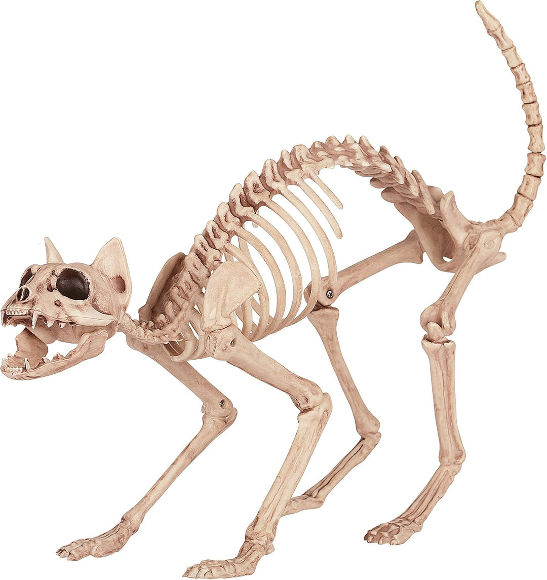 Skeleton Cat