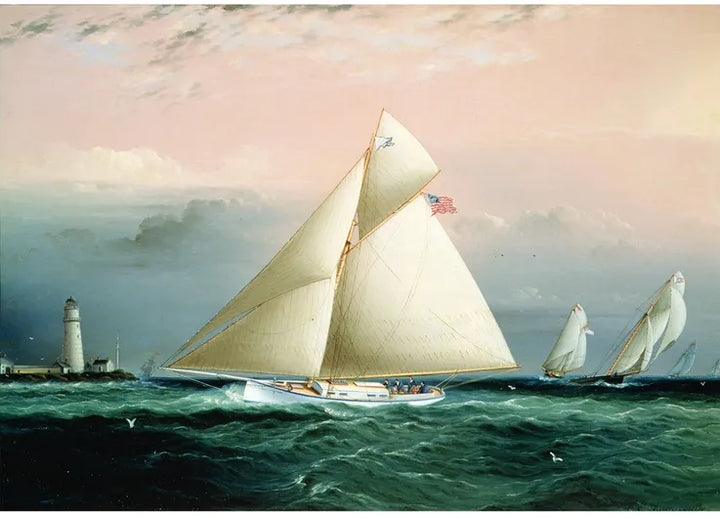 250 The Cutter Yacht In A Race