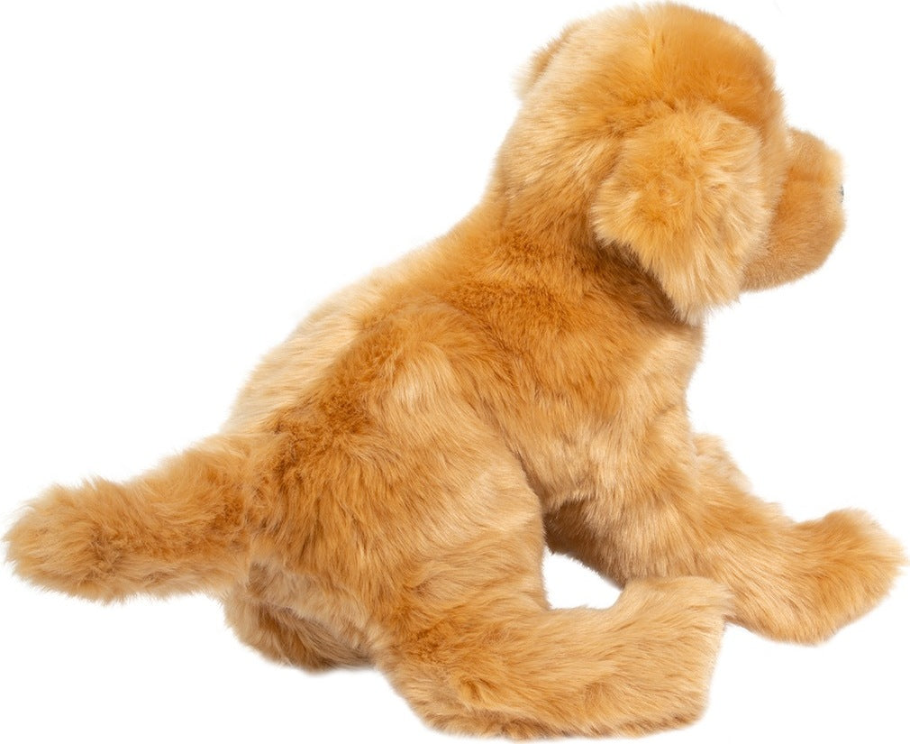 Bella Golden Retriever