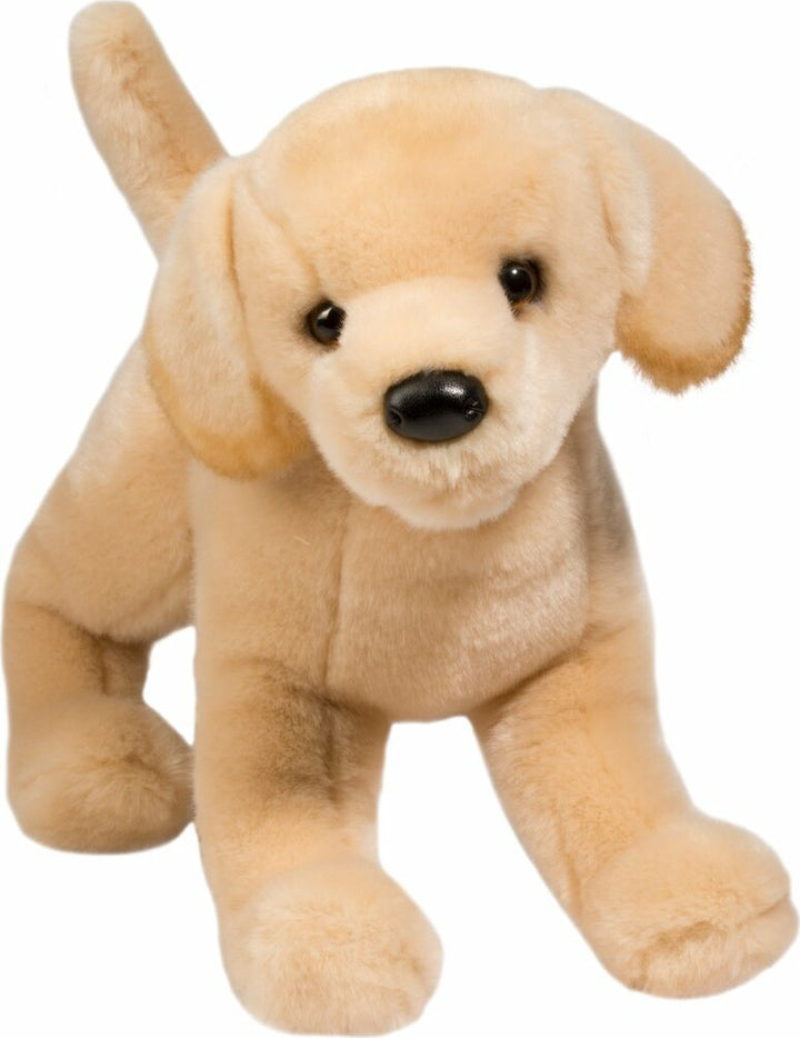 Mandy Yellow Lab