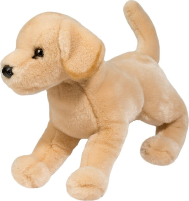Mandy Yellow Lab