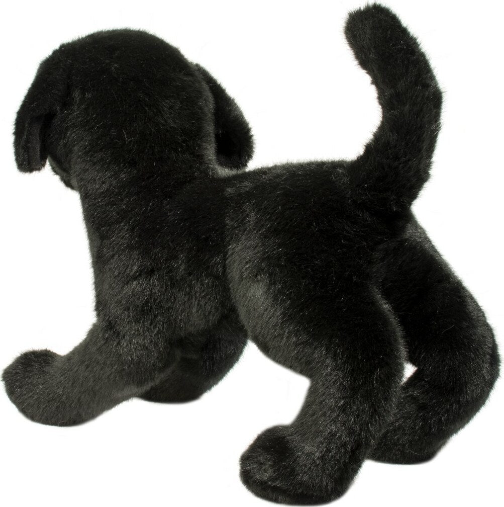 Chester Black Lab