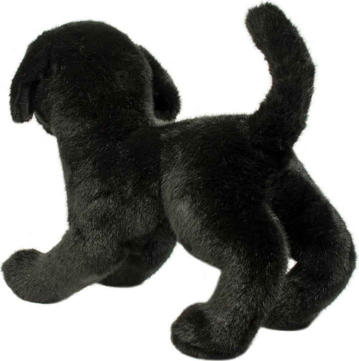 Chester Black Lab