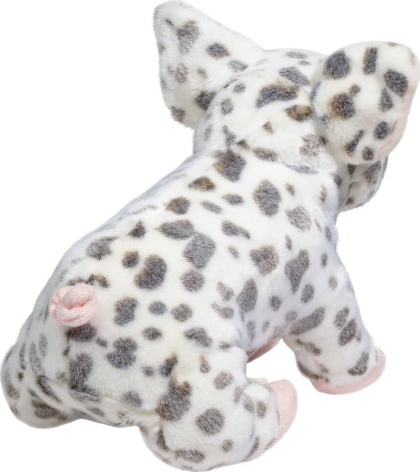 Pauline Spotted Pig, Medium