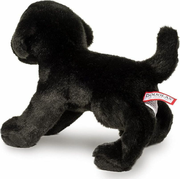 Brewster Black Lab