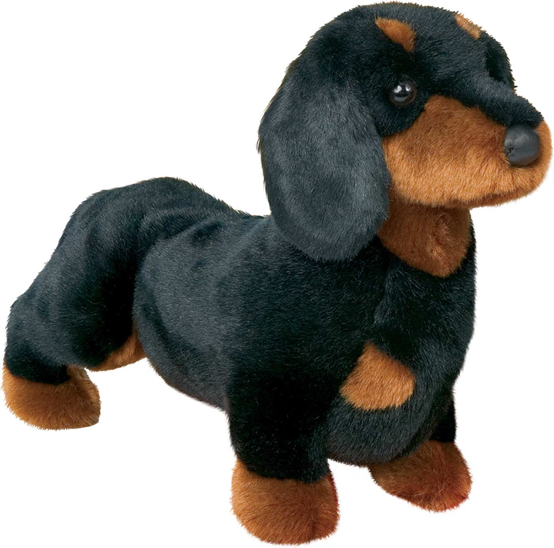 Spats Black & Tan Dachshund