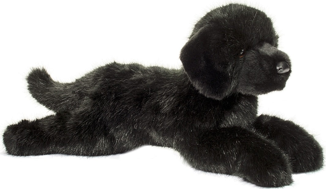 Jake DLux Black Lab