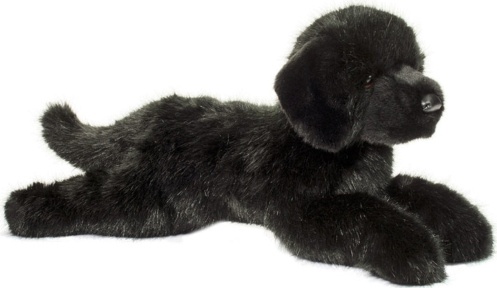 Jake DLux Black Lab