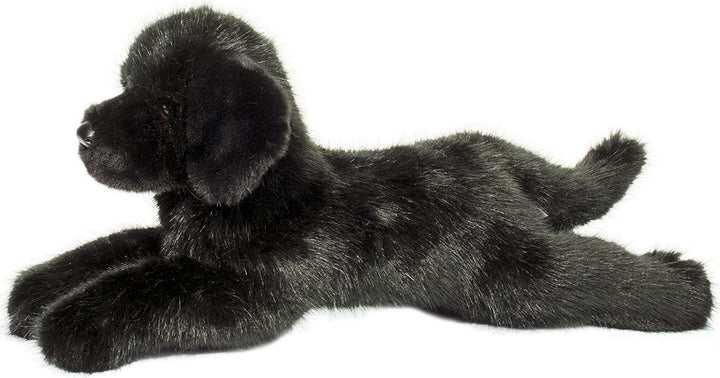 Jake DLux Black Lab