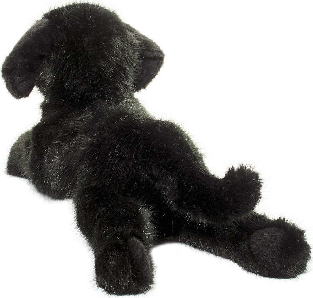 Jake DLux Black Lab