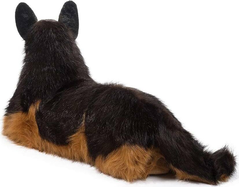 Major German Shepherd