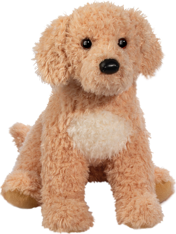Noodle Goldendoodle