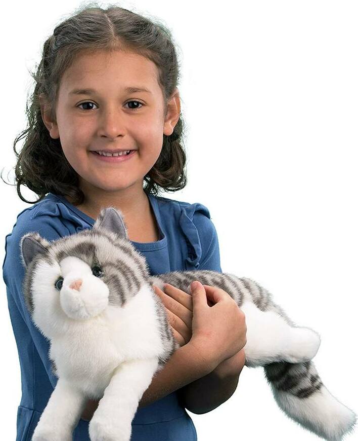 Smokey Gray Cat