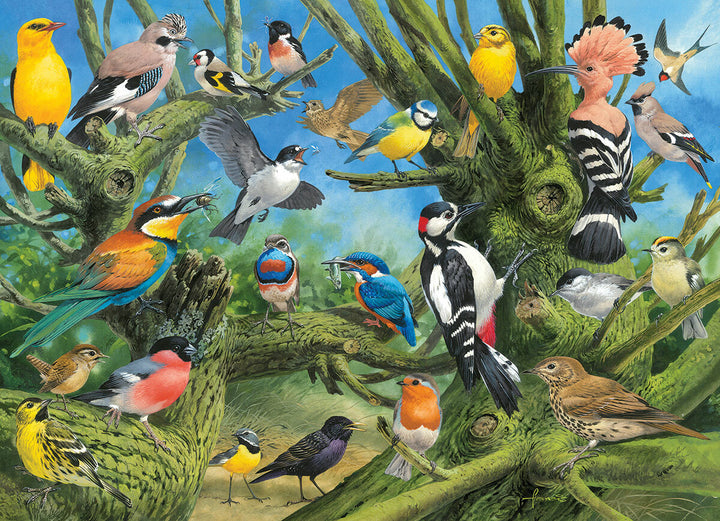 Garden Birds by John Francis 1000-Piece Puzzle 