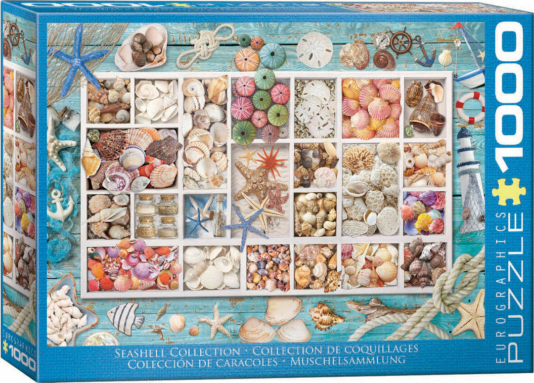 Seashell Collection 1000-Piece Puzzle