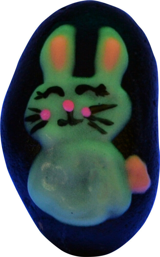 Glow in the Dark Rock Painting Kit