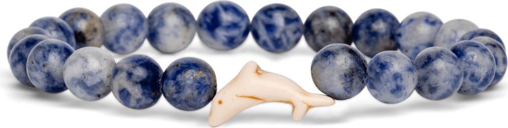 Fahlo Dolphin Tracking Bracelet (Coast)