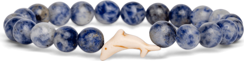 Fahlo Dolphin Tracking Bracelet (Coast)