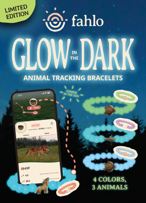 Fahlo Shark Tracking Bracelet - GLOW IN THE DARK (Sage)