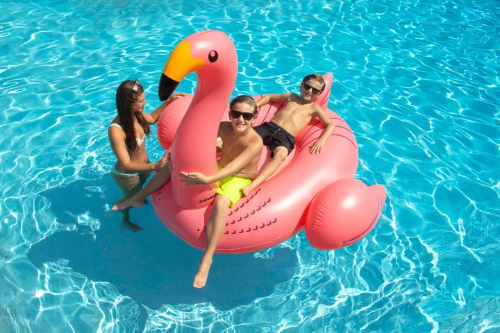 Giant Flamingo Float