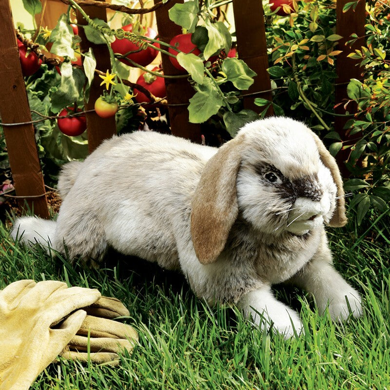 Rabbit, Holland Lop Hand Puppet