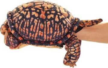 Box Turtle Hand Puppet