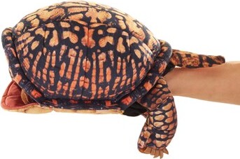 Box Turtle Hand Puppet