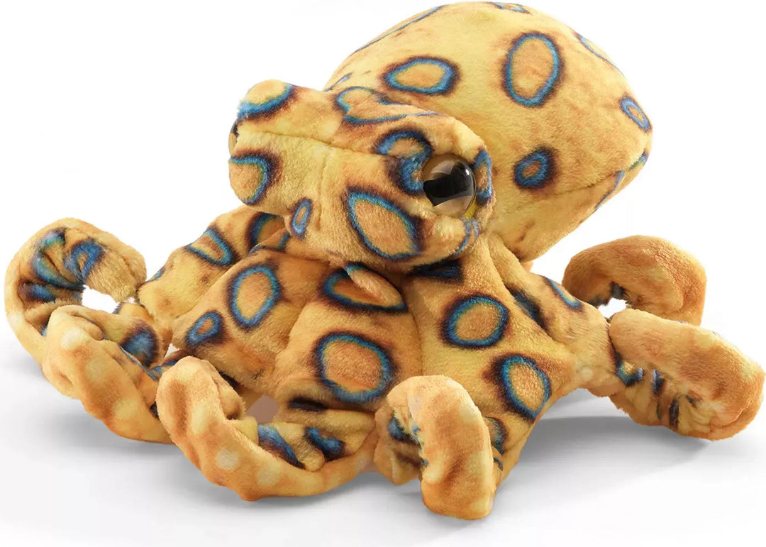 Mini Blue Ringed Octopus