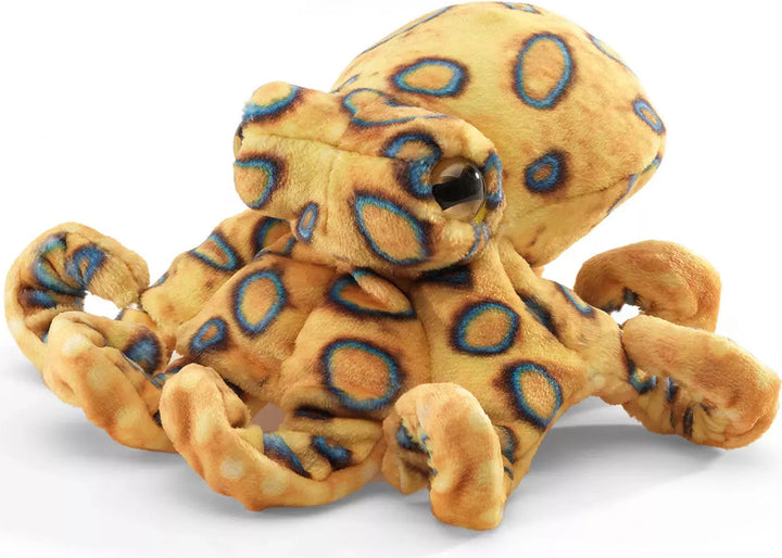 Mini Blue Ringed Octopus